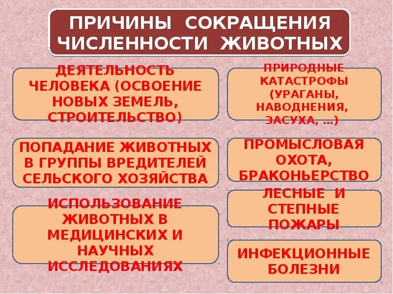 Основные причины сокращения численности животных. Причины сокращения численности растений и животных. основные причины сокращения численности растений и животных. причины уменьшения численности животных.