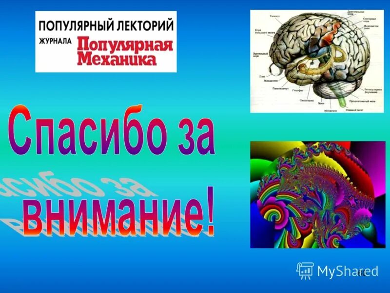 Презентации на тему мозга. Логотип на тему о мозге. Загадки мозга Дубынин.