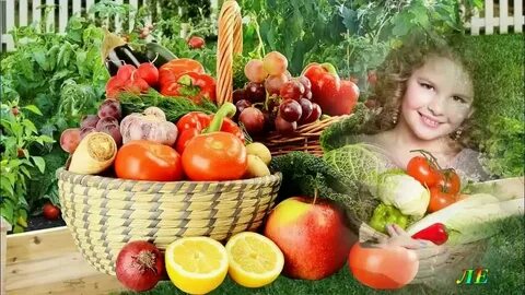 Мы корзиночки несем видео
