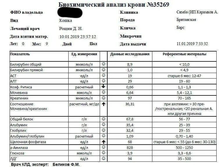 Общий белок понижен в крови причины. Норма общего белка в биохимическом анализе крови. Снижение белка в биохимическом анализе крови у больного. Биохимический анализ исследование при анемии. Анализ крови расшифровка белок.