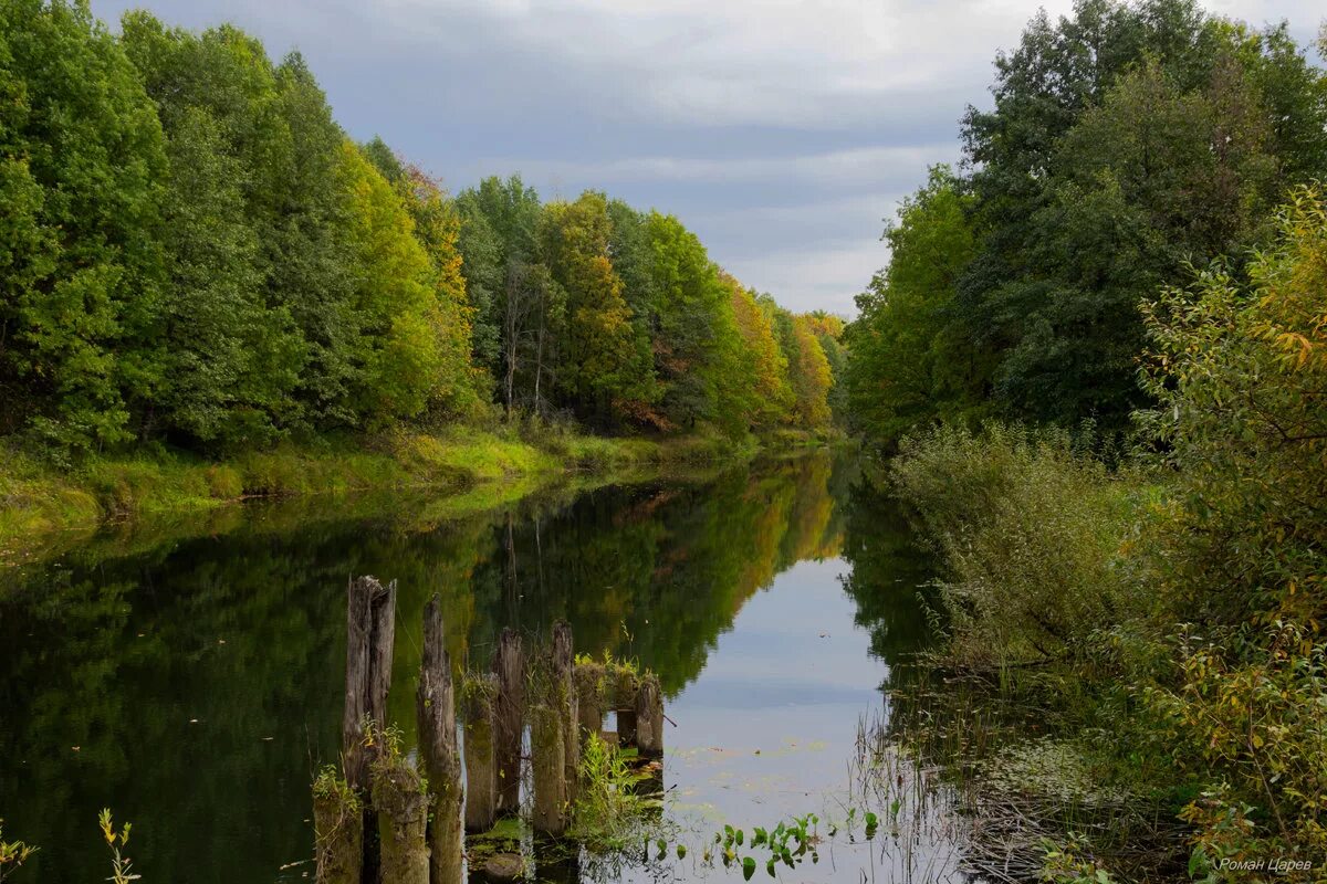 Речка сережа. Тоншаево природа. Природа Нижегородской области. Речка Сережа в Нижегородской области.