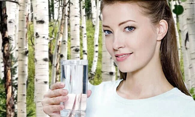 сок березовый 3 л. сок березы. берёзовые листья лечебные. берёзовый сок. береза пить.