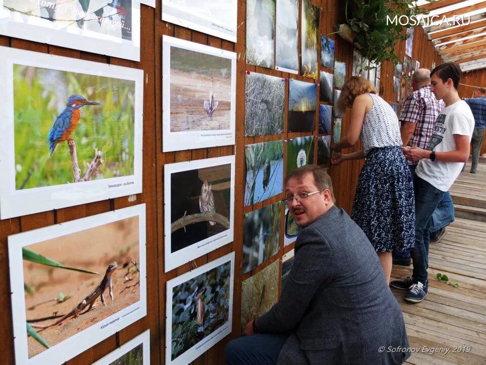 Фотодом. 58. Фотогалерея выставка. Оформление фотовыставки. Фотовыставки принять участие.
