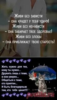 Без зависти