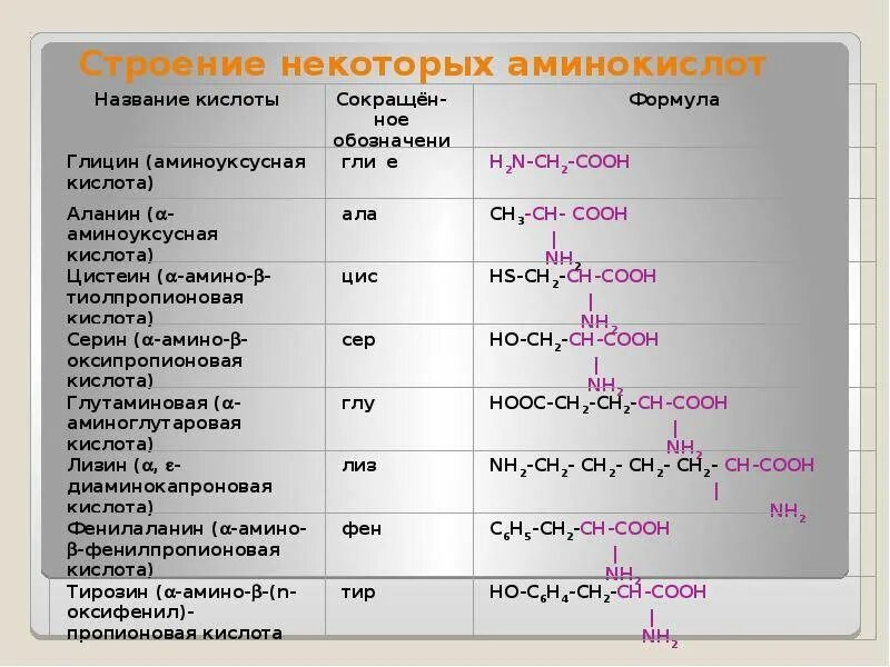 20 Аминокислот классификация. Аминокислоты структура формулы. Строение всех аминокислот. Общая структура аминокислот. Сколько всего аминокислот