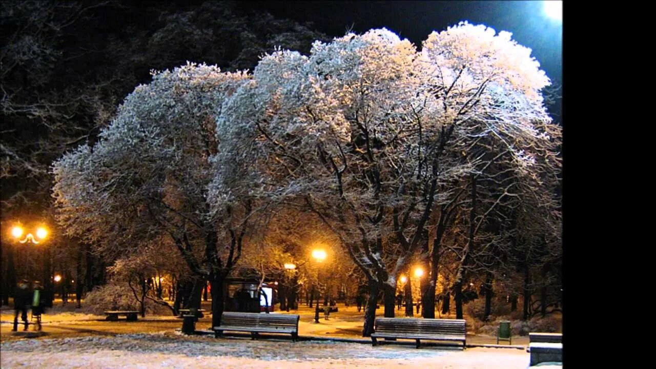 Зимний парк Баку. Февраль в городе. Зимний день в городе. Армавир зимой.