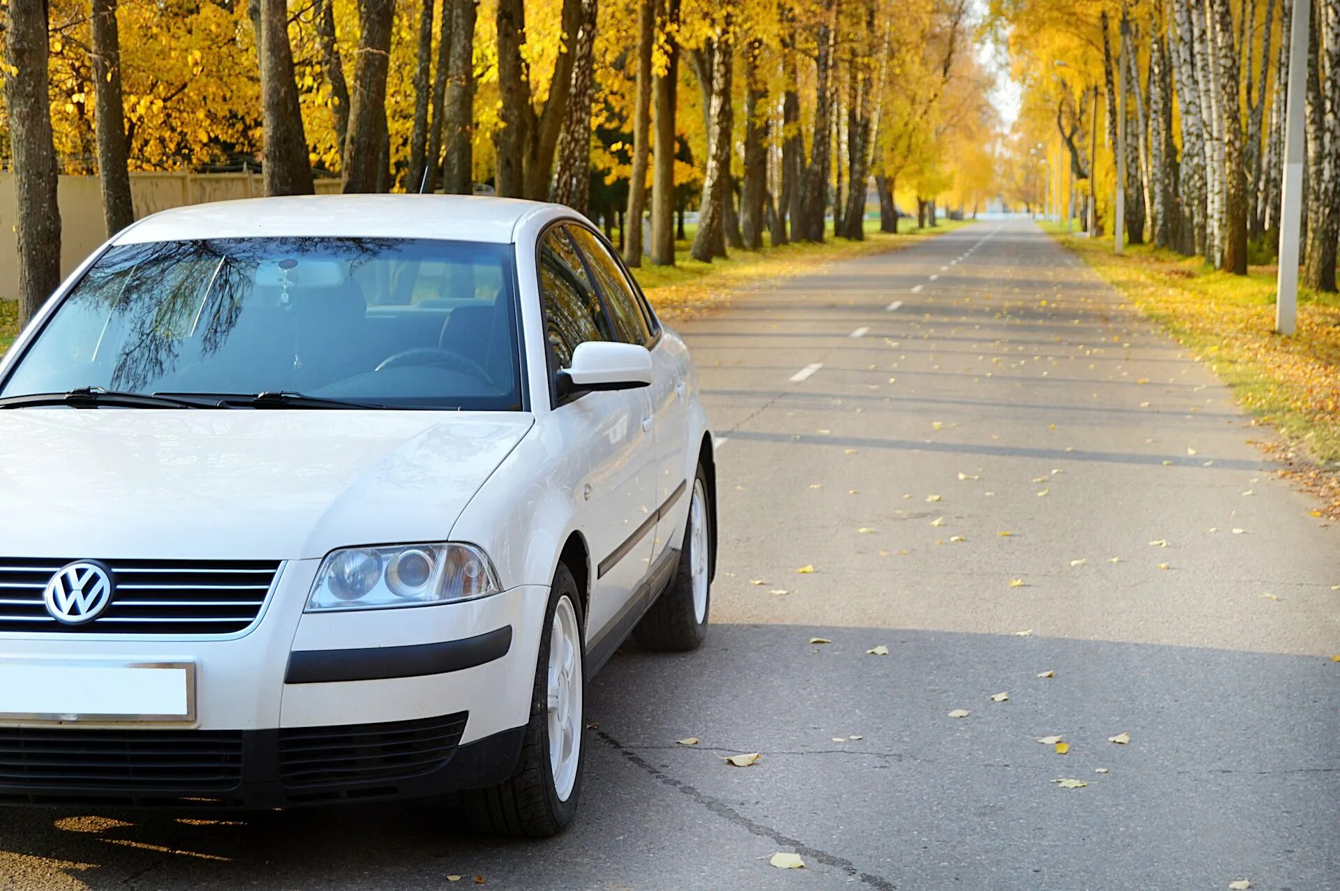 Купить фольксваген б5 плюс. Фольксваген Пассат б5. Volkswagen Passat b5 Plus. Фольксваген Пассат б5.5. VW Passat b5 Plus.