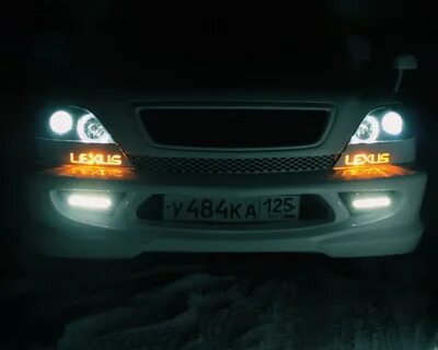 Туманки харриер