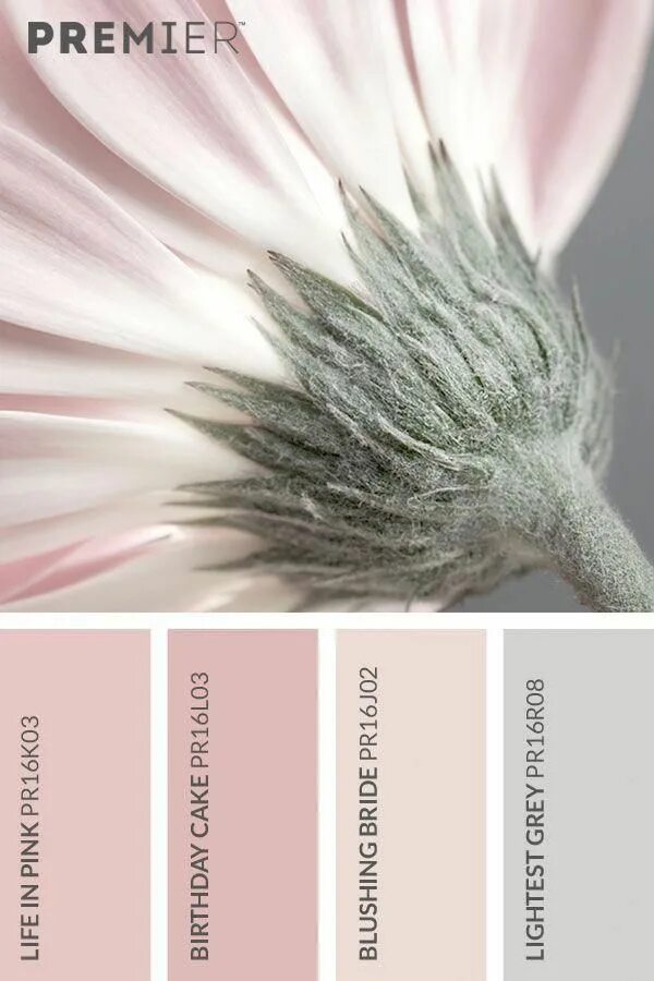 design seeds for all who ♥ color Color schemes colour palettes, Design seeds, Co