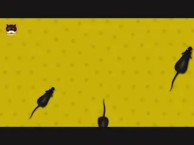 Мышки по экрану для котят. Мышь на экране для кошки. Игра мышка бегает по экрану. Игра мышка бегает по экрану. Мышка для кошки на экране телефона.