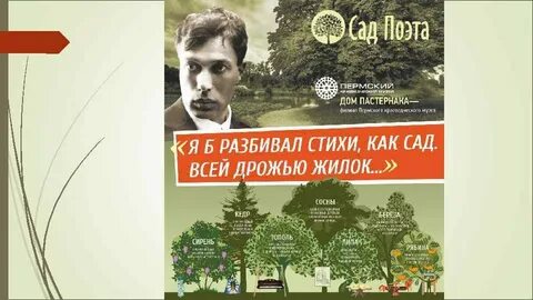 Пастернак сад