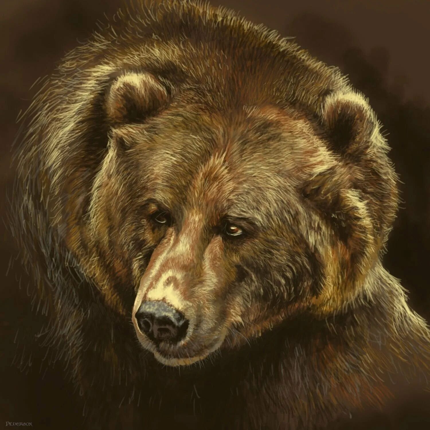 арты медведей. медведь мультяшный. красивый медведь. художник daniel smith. красивый медведь.