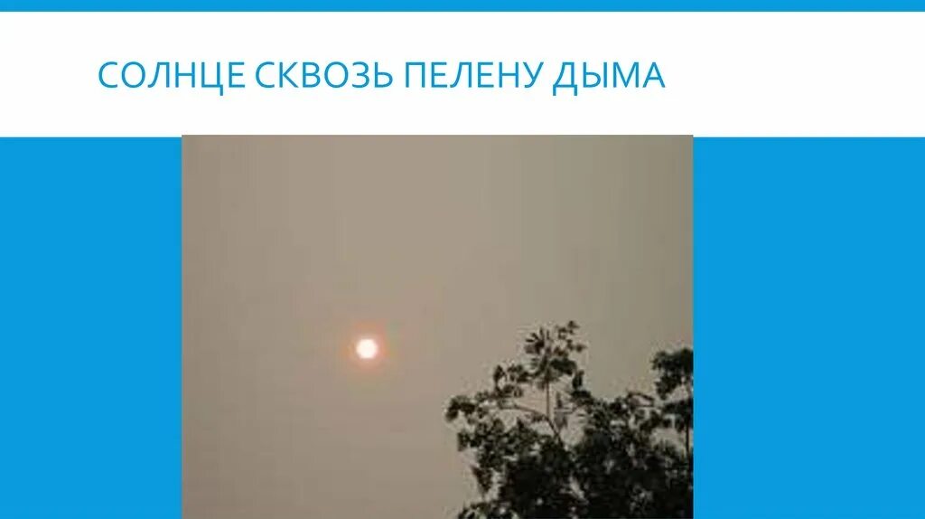 Пелена 5 букв. Пелена. Пелена это 1 класс. Что такое пелена кратко. Солнце сквозь дым.