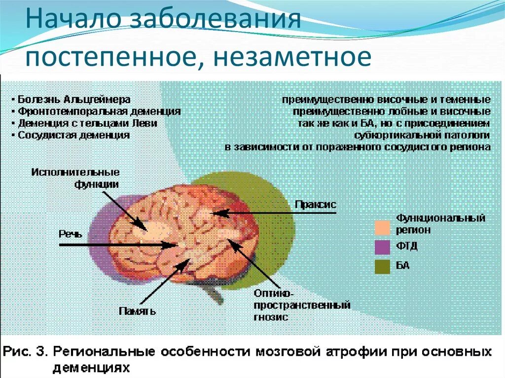 Изменения мозга при деменции. Поражение мозга при деменции. Локализация поражения при болезни Альцгеймера. "Нарушения при болезни Альцгеймера.