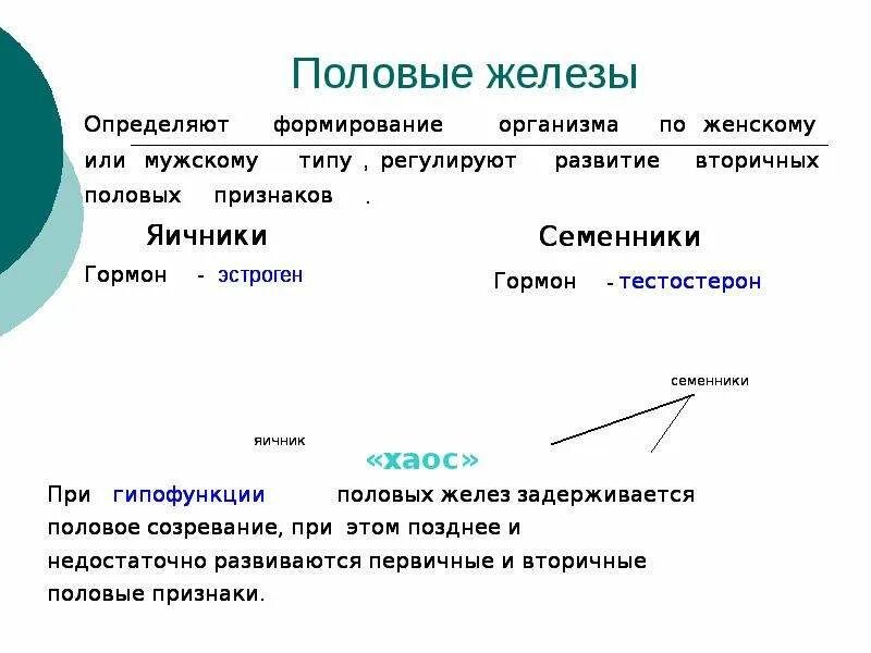 1 женские половые железы. Половая железа функции. Функции половых желез. Половые железы определение. Функции половых желез в организме.