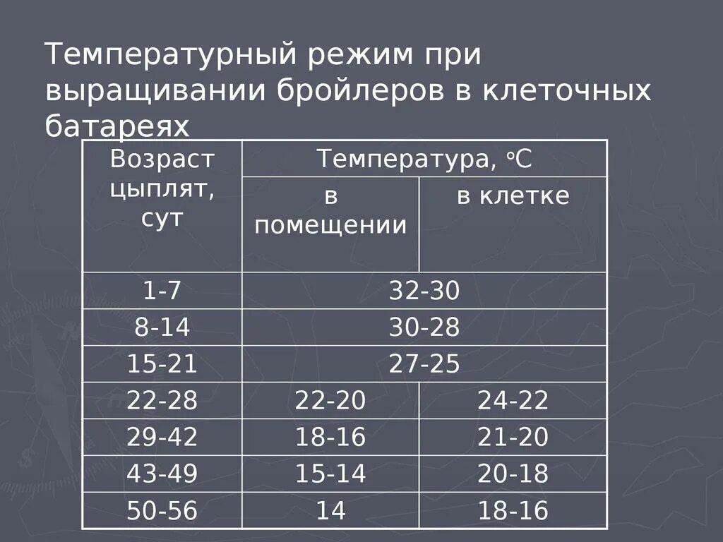 Температурный режим для цыплят бройлеров таблица. Цыплята бройлеры температурный режим выращивания. Температурный режим для цыплят бройлеров. Температура в брудере для цыплят бройлеров таблица.