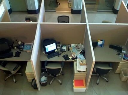 Организовать соответствующий
