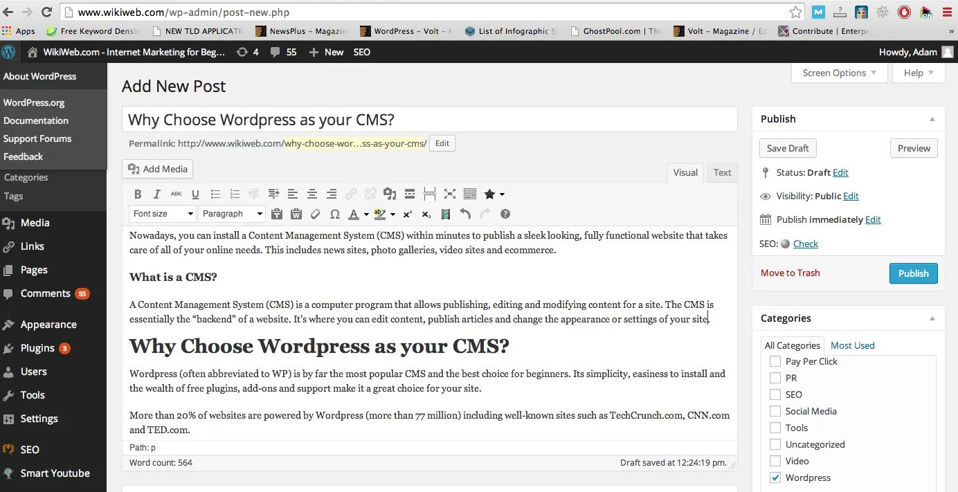 Wordpress wp content