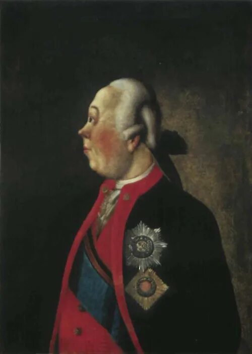 Генерал паулюс сталинградская битва. Фельдмаршал п а. Фридрих паулюс. Петр румянцев-задунайский портрет. Генерал фельдмаршал румянцев.