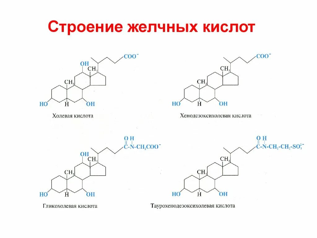 Первичные желчные кислоты биохимия. Холевая желчная кислота. Первичные желчные кислоты формулы. Формулы желчных кислот биохимия.