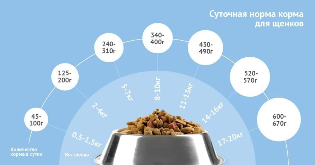 Какую долю суточной нормы 400г. Норма корма для собак. Сколько сухого корма нужно щенку. Сколько граммов корма давать щенку в 2 месяца. Суточная норма корма для собак.