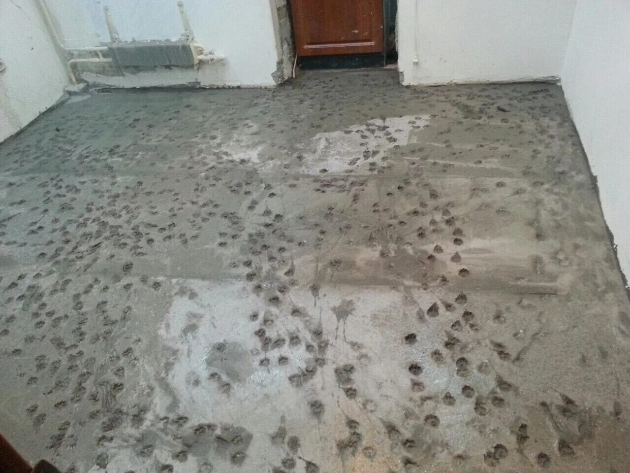 Кошачьи следы на бетоне. Следы кота на бетоне. Кошачьи следы на полу. Смешные полы в квартире. Пол лапки
