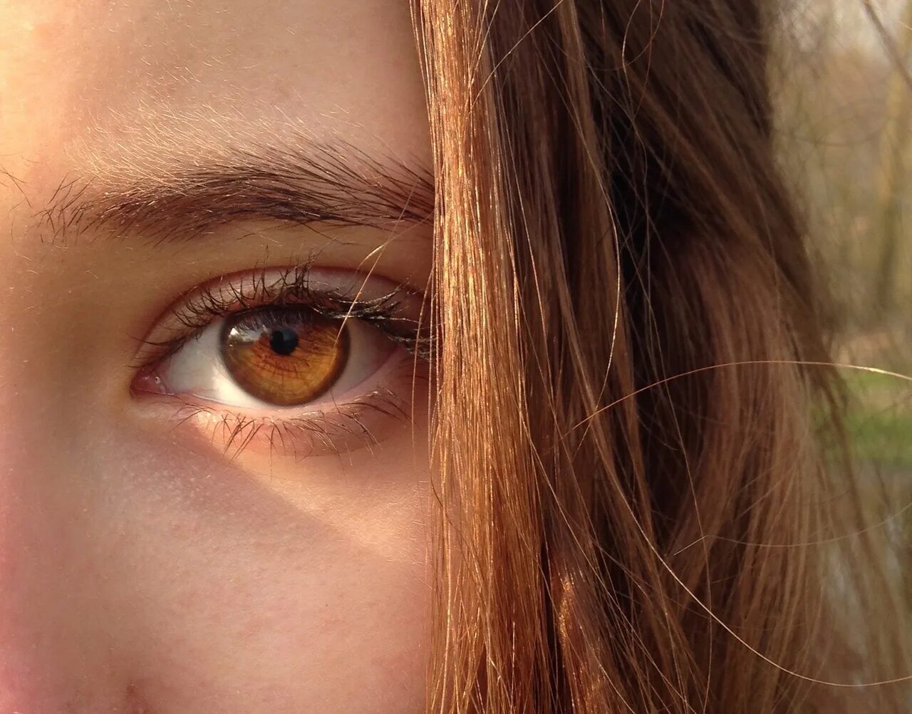 Коричневые глазки. Светло карие глаза. Коричневый цвет глаз. Янтарные глаза. Золотистые глаза.