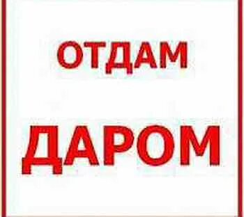Приму даром в чувашии на авито