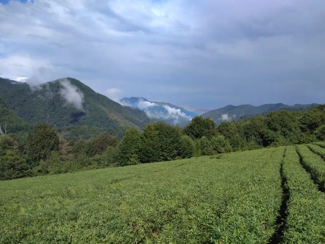 Солох аул фото. Солох аул фото. Солох аул смотровая площадка. Дагомыс горы. Солохаул сочи.