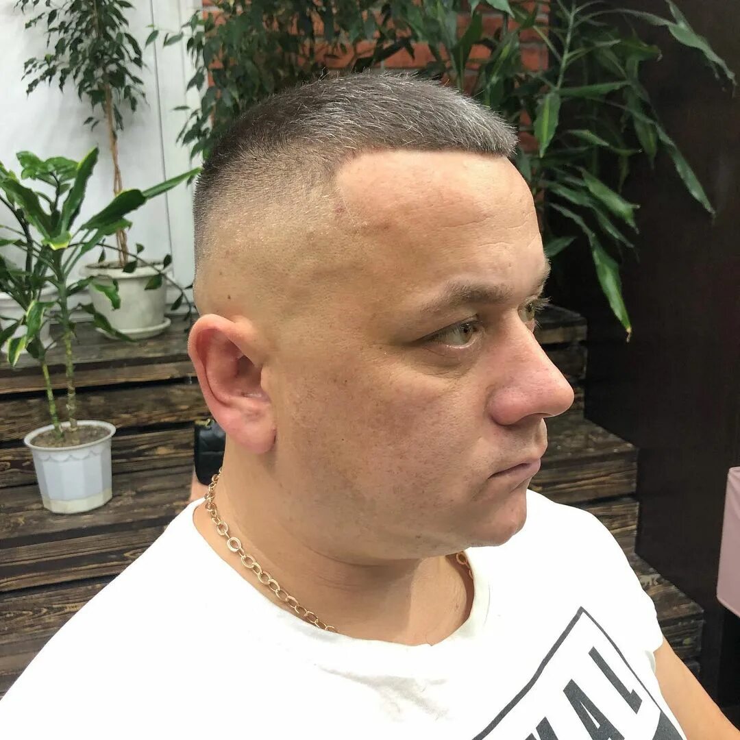 барбер волжский