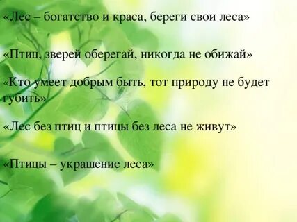 Лесные богатства беларуси 3 класс