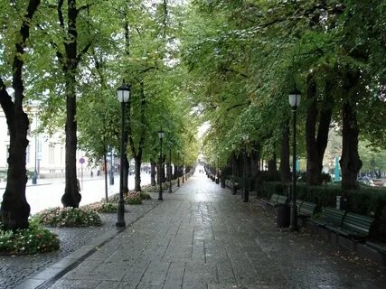 Городская аллея