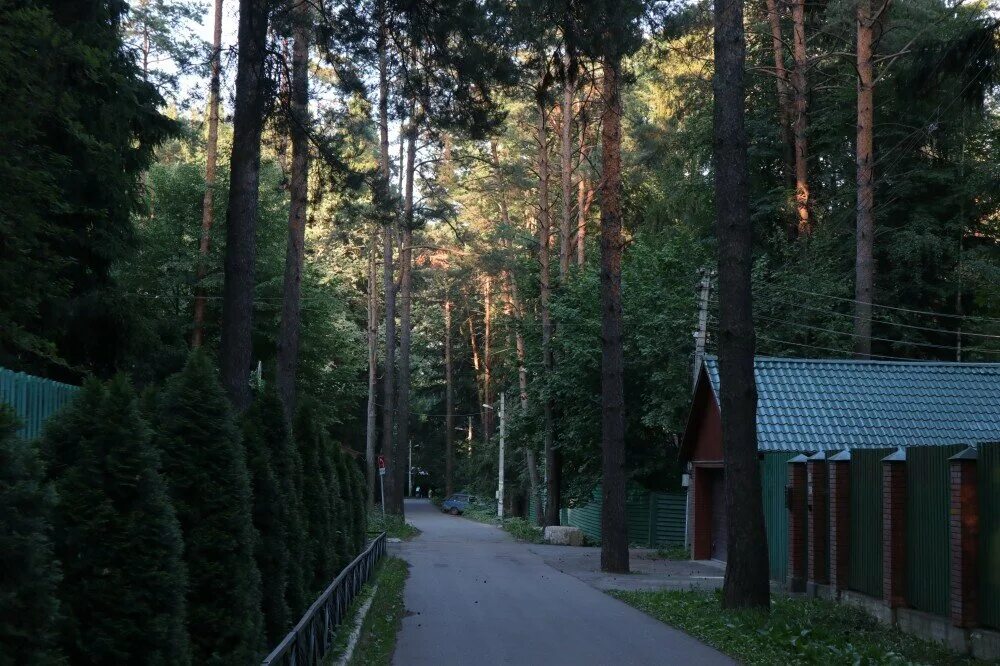 Писательский городок. Городок писателей Переделкино. Писательский городок в Переделкино. Резиденция писателей Переделкино. Переделкино дачи писателей.