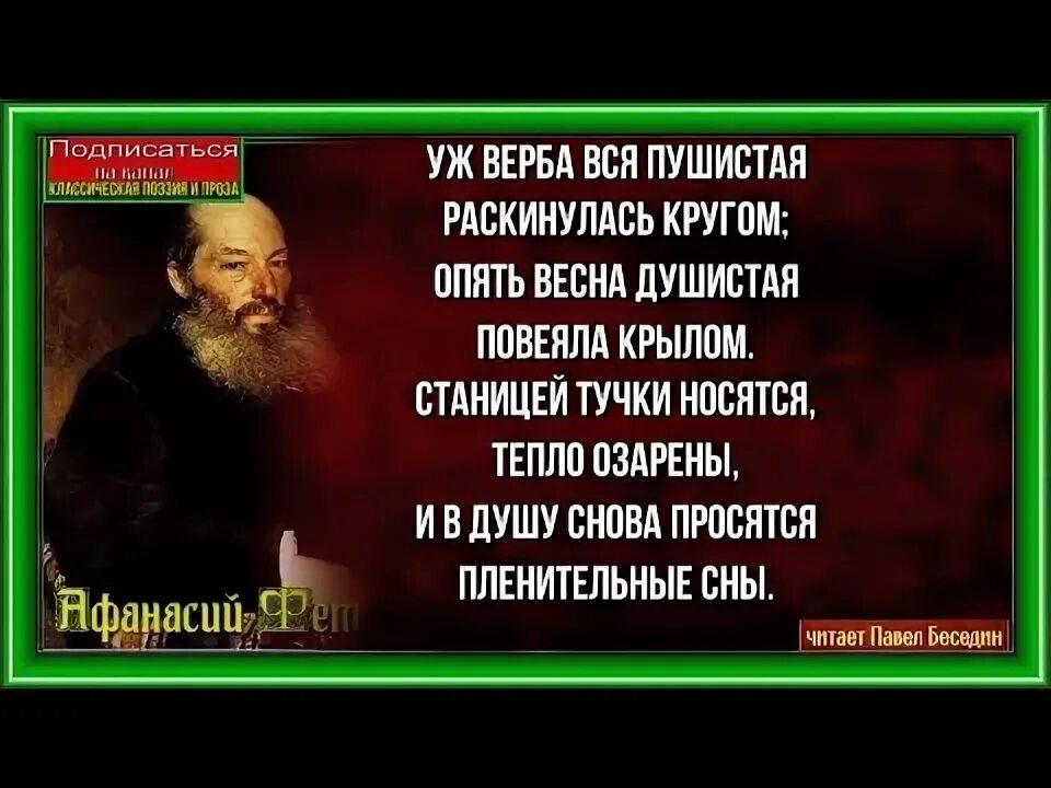 Фет уж Верба вся пушистая.