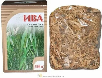 Ива белая лечебные свойства