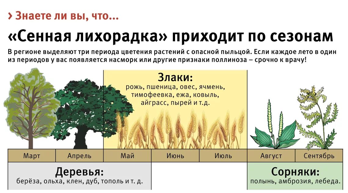 Сезонный период. Поллиноз периоды цветения. Сенная лихорадка поллиноз симптомы. Периоды цветения растений. Полипоз Сенная лихорадка.