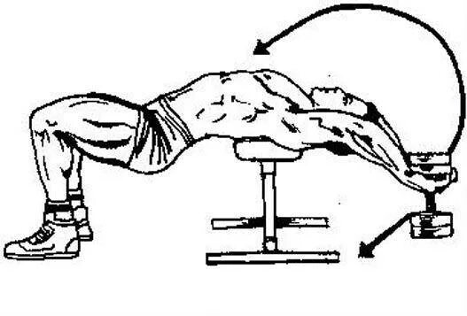 Гантель за голову лежа. Пуловер с гантелей лежа поперек скамьи. Упражнение на грудь Пулловер. Пуловер упражнение для грудных с гантелью. Пуловер с гантелью лёжа поперёк скамьи.