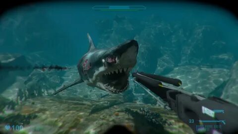 Игры видео акулу