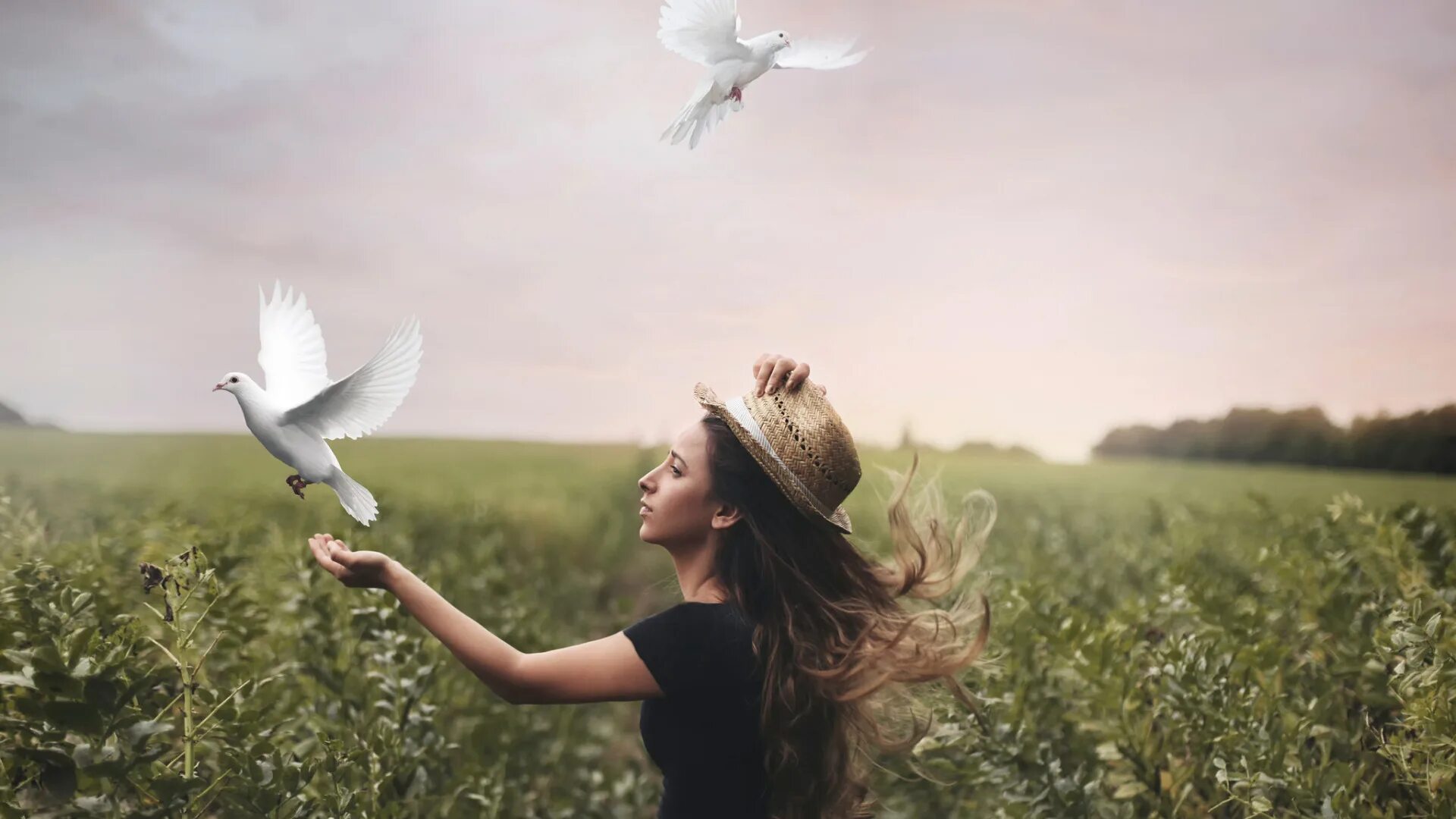 Чтобы быть свободным нужно. Птица свободы. Девушка выпускает птицу. Человек птица. Девушка с голубем в руках.