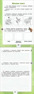 Мудрая черепаха интересуется знаешь ли