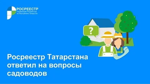 Апелляция татарстан