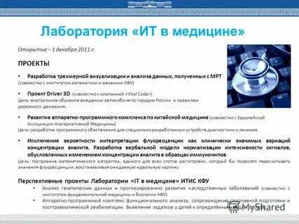 Информационные технологии лабораторная работа 1