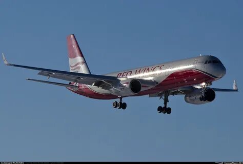 Wz 3073 red wings