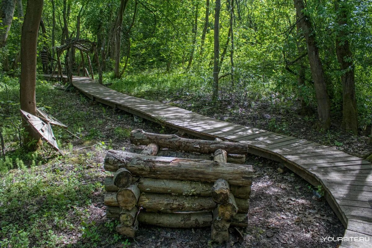 Оредеж эко тропа. Эко тропа река Оредеж. Экотропа Сиверский. Каньон реки лава экотропа экотропа.