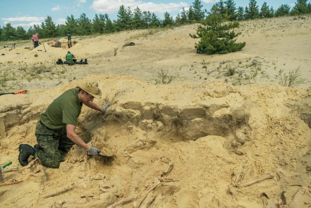 Вахта ростовская область. Вахта в москве. Охрана вахта москва. Быковские большие буруны ростовская область. Вахтовый метод краснодарский край.