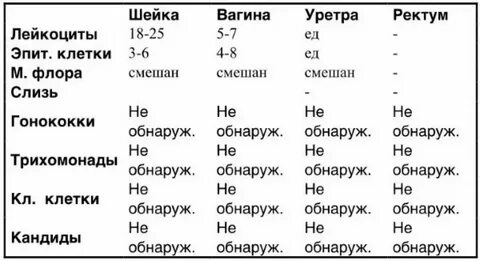 Нормы мазка gn