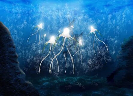 Sea ideas