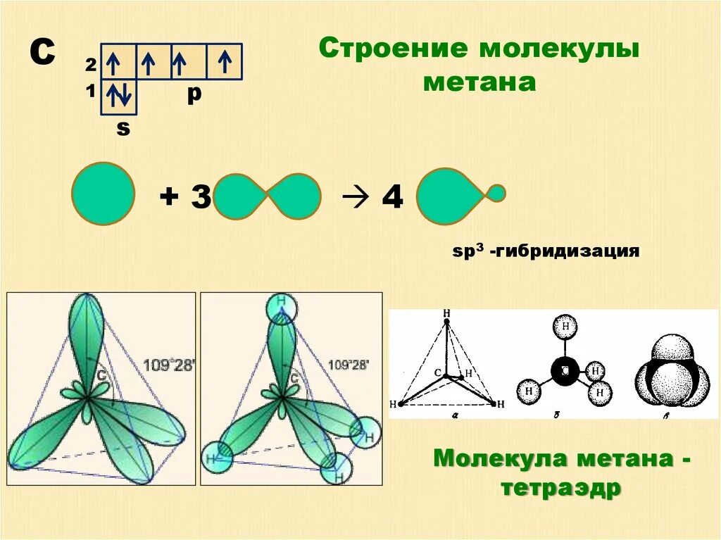 Строение молекулы метана sp3 гибридизация. Sp3 гибридизация в молекуле метана. Sp3 строение молекулы. Строение молекулы метана гибридизация.