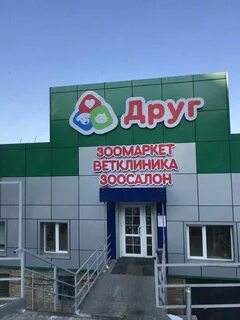 Друг владивосток