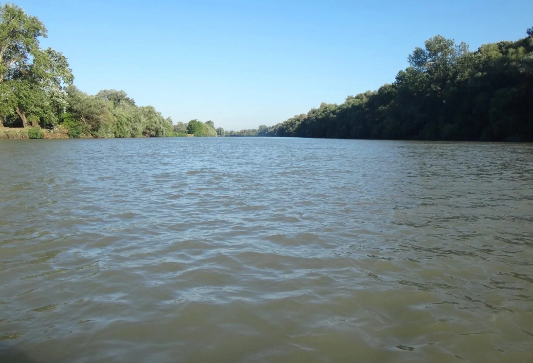 Температура воды в реке кубань